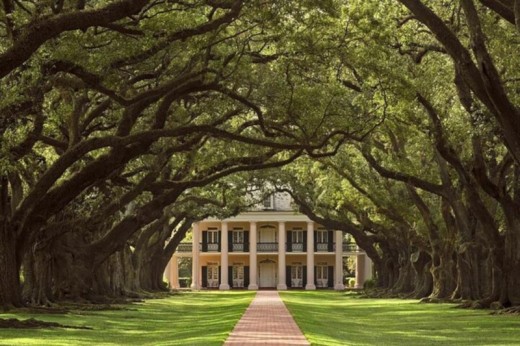 Swamp and Plantation Tour New Orleans