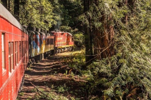 Skunk Train Pudding Creek Train Ride