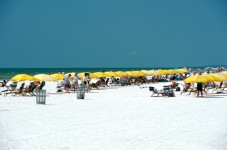 Clearwater Beach Day and Lunch - Adult