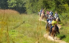 Gettysburg: Licensed Guided Battlefield Horseback Tour