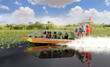 From Miami: Everglades Airboat, Wildlife Show & Bus Transfer