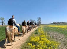 Gettysburg: Licensed Guided Battlefield Horseback Tour