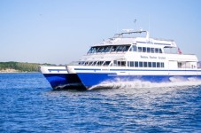 Boston: Whale Watching Catamaran Cruise