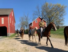 Gettysburg: Licensed Guided Battlefield Horseback Tour