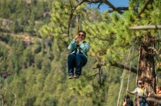 Durango: Scenic Train & Zipline Adventure