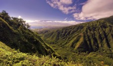 Central Maui and Iao Valley tour with Haleakala