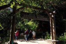 Muir Woods and Sausalito Tour