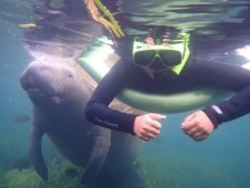 Crystal River Manatee Swim Tour