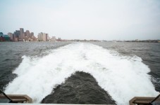 Boston: Whale Watching Catamaran Cruise