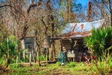 Swamp and Plantation Tour New Orleans