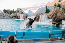 SeaWorld e Go San Diego - Pass per 3 giorni