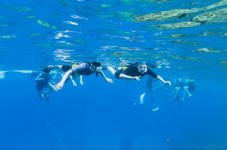 Maui Molokini and Turtle Town Snorkeling Tour