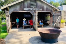 Swamp and Plantation Tour New Orleans