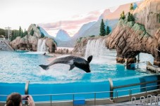 SeaWorld e Go San Diego - Pass per 3 giorni