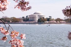 Two-day Washington D.C, Philadelphia and Amish Country tour from NYC