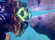 Crystal River Manatee Swim Tour