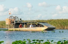 From Miami: Everglades Airboat, Wildlife Show & Bus Transfer