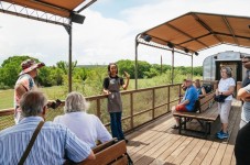 Verde Canyon Railroad Journey with Snacks & Champagne