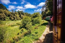 Skunk Train Pudding Creek Train Ride