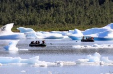 Alaska Wildlife & Glacier Train Adventure