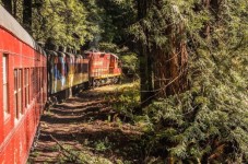 Mendocino County: Skunk Train Pudding Creek Train Ride